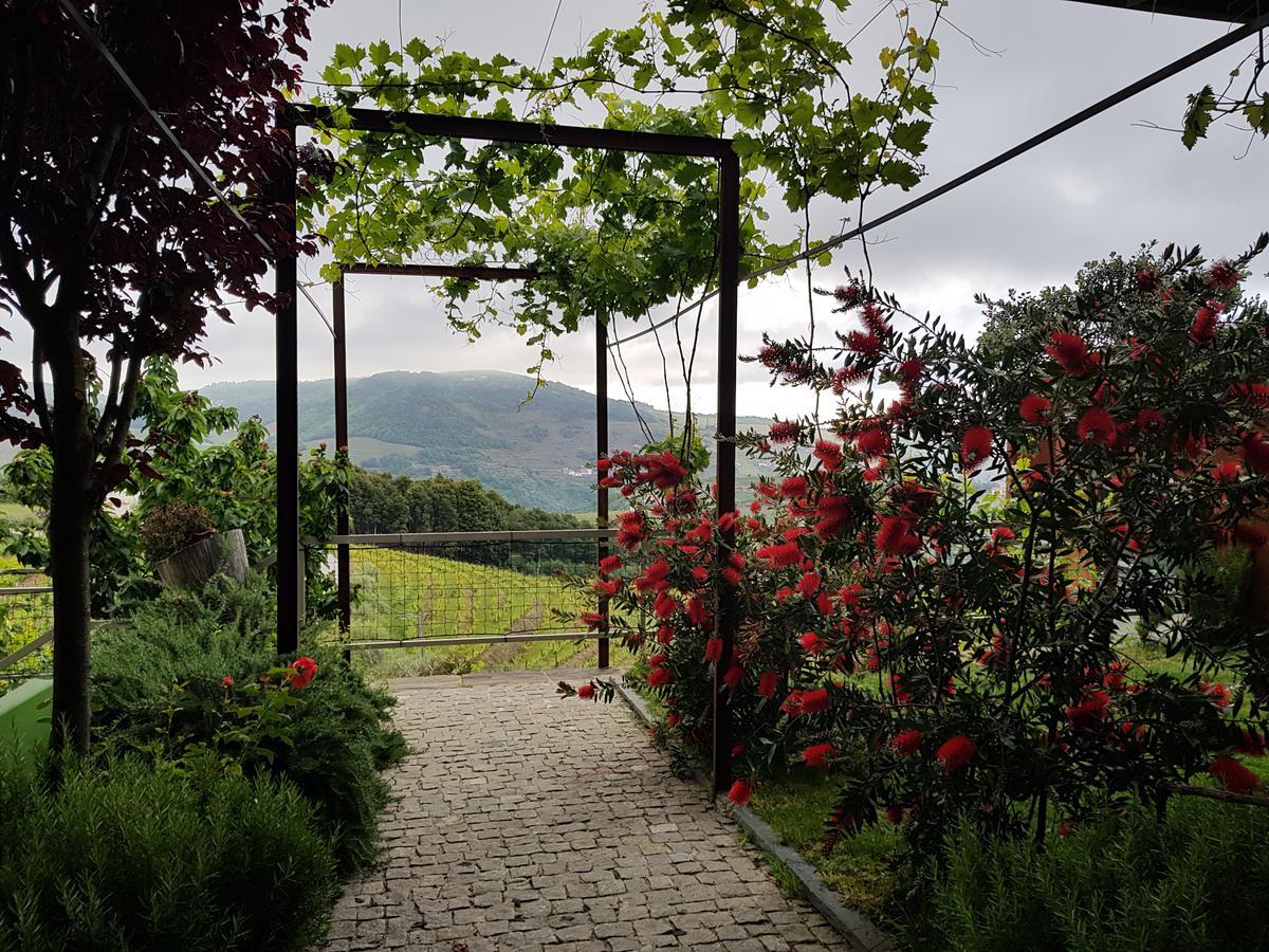 Vila Marim Country Houses Mesão Frio Exteriör bild
