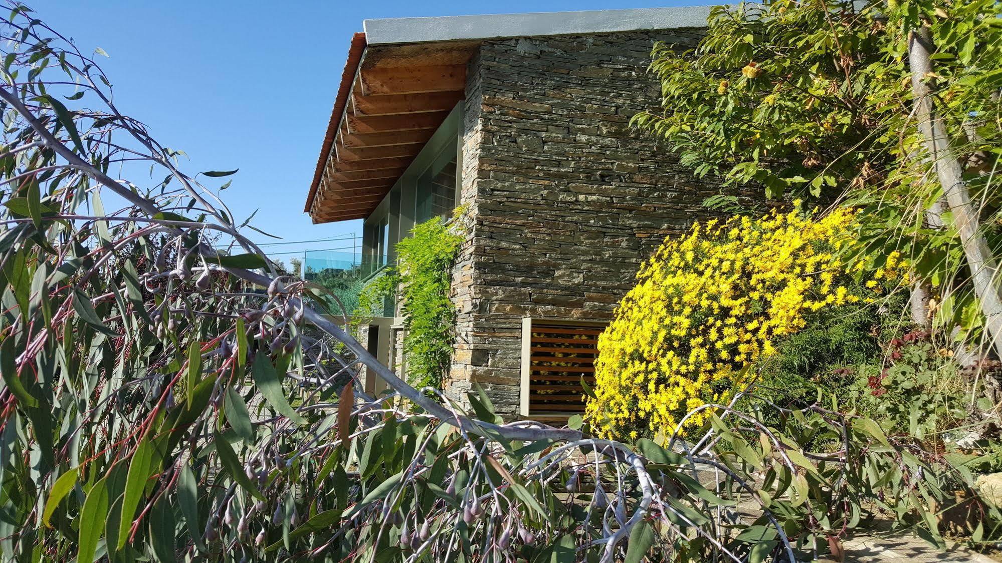 Vila Marim Country Houses Mesão Frio Exteriör bild